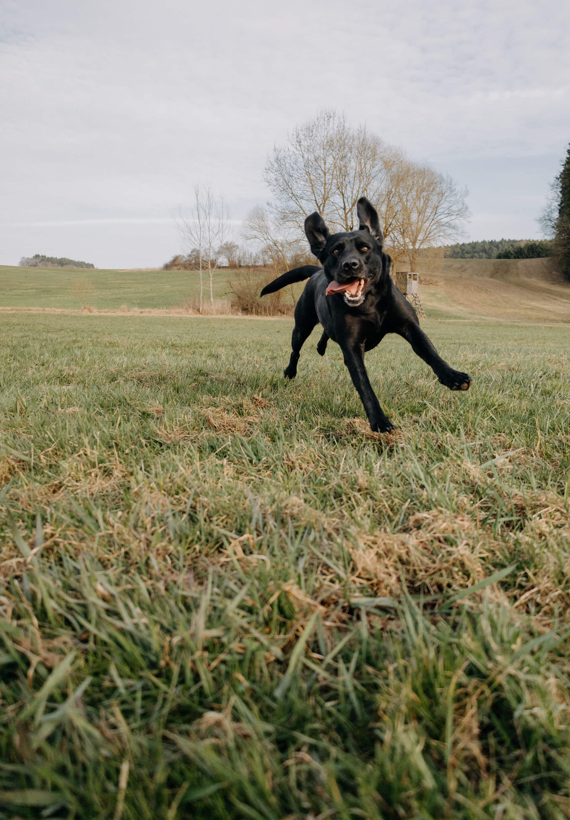 Molly Bild 5