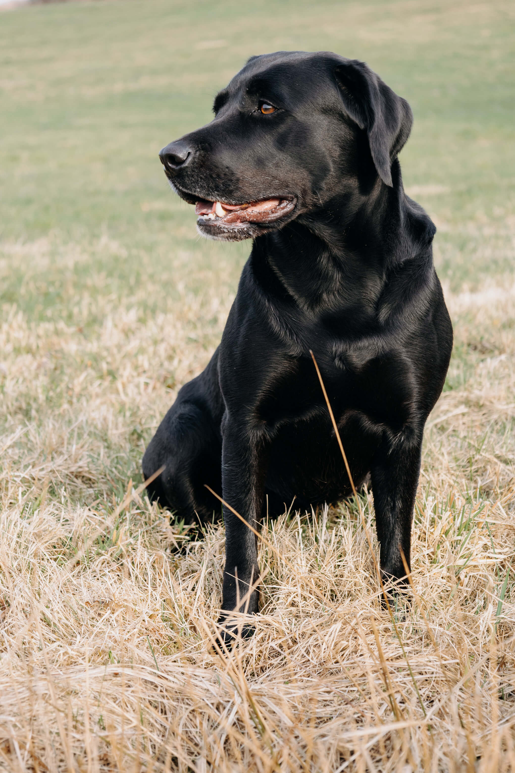 Molly Bild 6